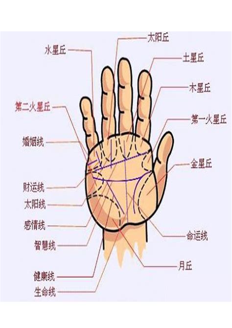 手指 手相